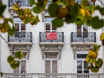 Carteles de alquiler de vivienda en Valencia, el pasado 14 de diciembre.