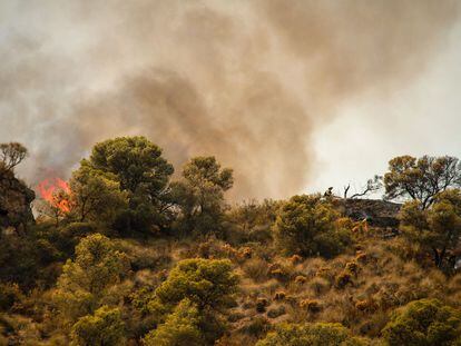 Medios aéreos y terrestres del Infoca trabajan en la extinción de un incendio forestal declarado este jueves en un paraje de Los Guájares, en la Costa Tropical de Granada.