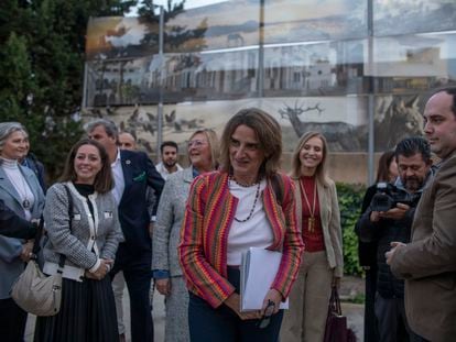 La vicepresidenta y ministra para la Transición Ecológica, Teresa Ribera, este miércoles, junto al viceconsejero andaluz de Sostenibilidad, Sergio Arjona (drcha.) en Almonte (Huelva).