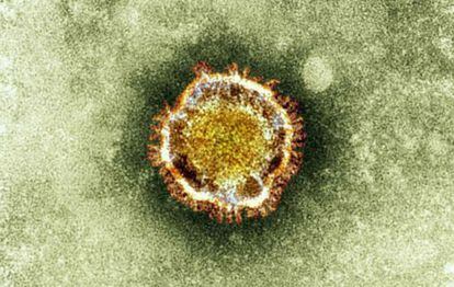El coronavirus se ha manifestado en 16 pa&iacute;ses