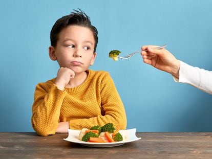Un niño es un mal comedor cuando presenta incapacidad o rechazo a ingerir ciertas cantidades de comida y/o de determinados alimentos.