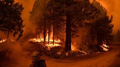 Fire in the Sequoia National Park (California) in September 2021. It is one that Silvester watches closely from his home in New Zealand.