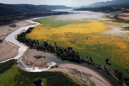Imagen tomada esta mañana con un dron de la cola del pantano de Yesa, con el río Aragón prácticamente sin agua y donde se aprecia también el descenso de su capacidad.