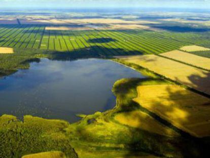 La explotaci&oacute;n agr&iacute;cola argentina La Moraleja. 