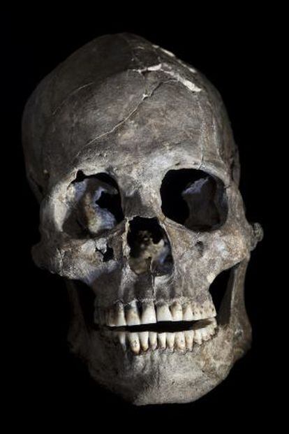 Cráneo completo de la tumba 26