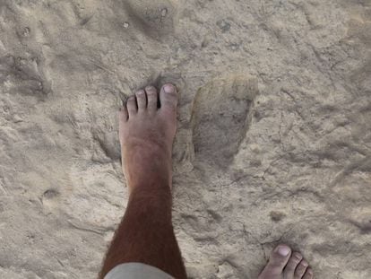 Un pie comparado con una huella f&oacute;sil de &#039;Homo erectus&#039;.