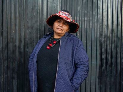 Lourdes Huanca Atencio, activista feminista, indígena y campesina de Perú, en Madrid el 20 de enero de 2023.