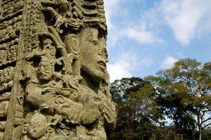 Una de las esculturas de la Gran Plaza de las Estelas en las ruinas mayas de Copán (Honduras). 