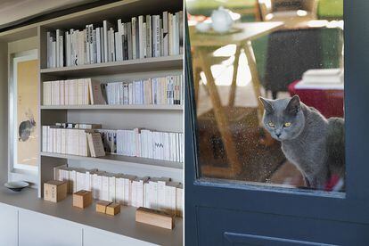 La biblioteca (izda.), y ‘Petrus’, uno de sus cuatro gatos (los otros se laman ‘Ocha’, ‘Mizu’ y ‘Kirin’).