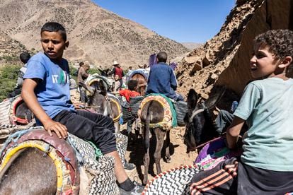 Un grupo de niños a lomos de burros bajan el valle para cargar más ayuda humanitaria. 