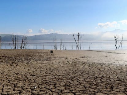 Terreno agrietado cerca de la presa de Sidi El Barrak, en Nafza, cerca de Tunicia (Túnez), el 7 de enero pasado.