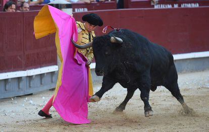 Octavio Chacón, este jueves, en Las Ventas.