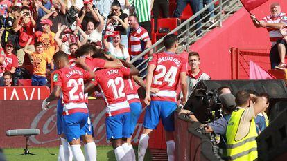 Los jugadores del Granada celebran el gol de Vadillo.