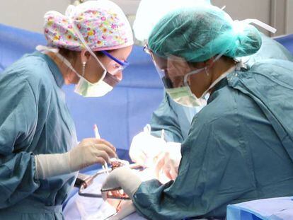 Un trasplante al Hopital Vall de Hebrón.