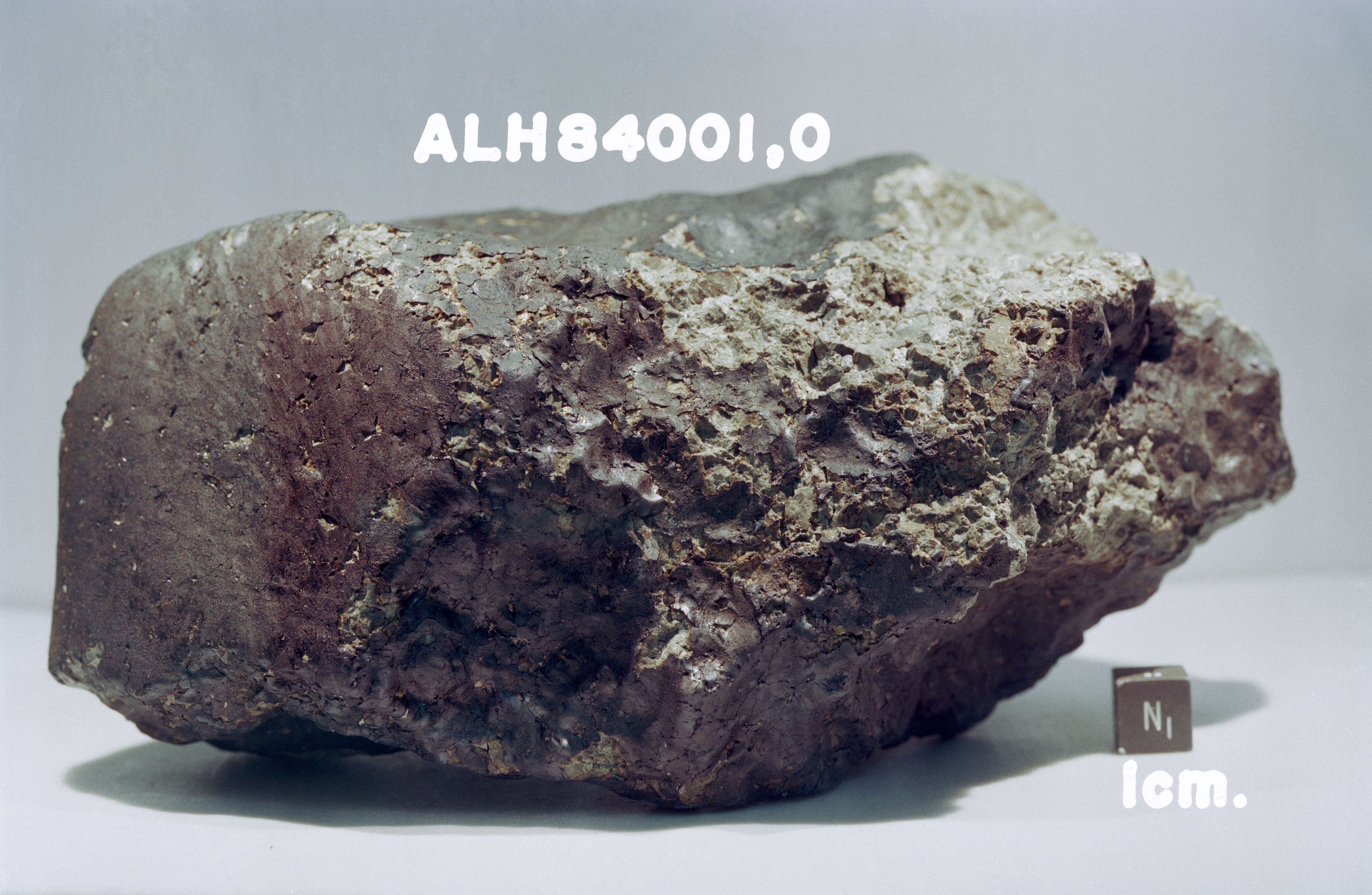 EL meteorito ALH84001, en el que se pensó que se habían encontrado indicios de vida marciana