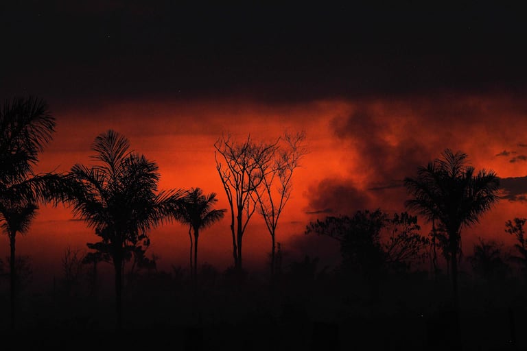 Humo se desprende de un fuego ilegal de la selva del Amazonas en el norte de Sinop en Mateo Grosso, el martes 11 de agosto.