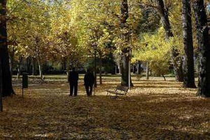 Dos ancianos paseandp por el parque de Quevedo en León. EFE/Archivo