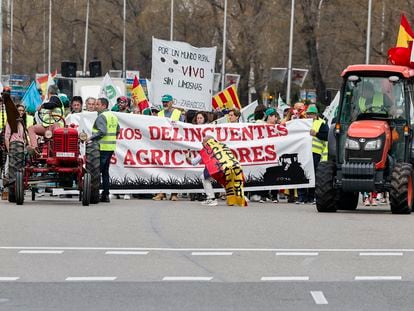 Agricultores y ganaderos participan en una marcha de protesta en Madrid este domingo.