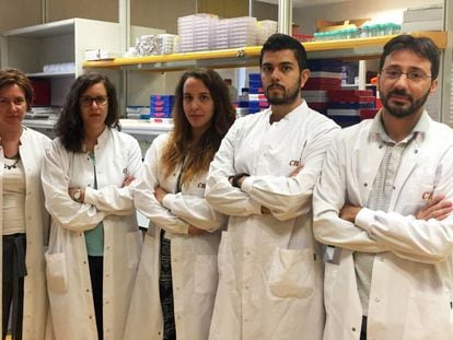 El grupo de tumores cerebrales de Massimo Squatrito, uno de los afectados en el CNIO.