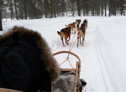 Hay quien busca la experiencia de conducir un trineo tirado por perros en el Yukón, el territorio canadiense junto a Alaska.