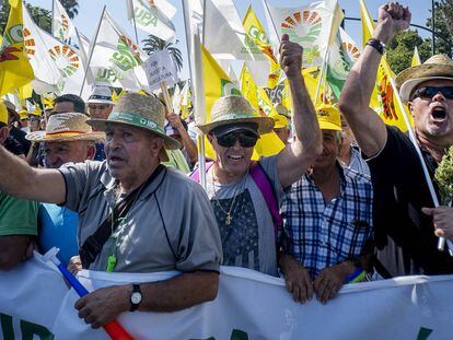 Olivareros andaluces protestan por los precios del aceite de oliva, en Sevilla.