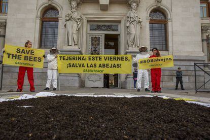 Activistes de Greenpeace tiren abelles mortes a la porta de Ministeri d'Agricultura, a Madrid.