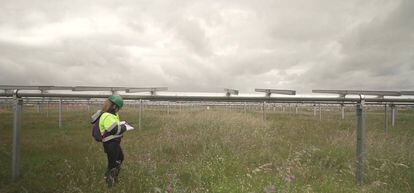 Una trabajadora de Endesa en el parque fotovoltaico de Logrosán (Extremadura).