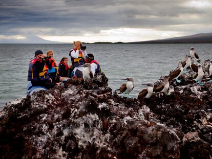 Turistas en la isla Isabela, en Galápagos, antes de la pandemia de la covid-19.