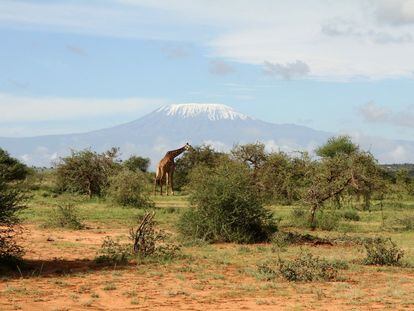 Condado de Loitokitok (Kenia). El camino de la capital, Nairobi, a Loitokitok, en el sur de Kenia, con el monte Kilimanjaro en el horizonte.