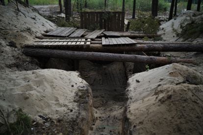 Shelters dug in the forest by Russian troops