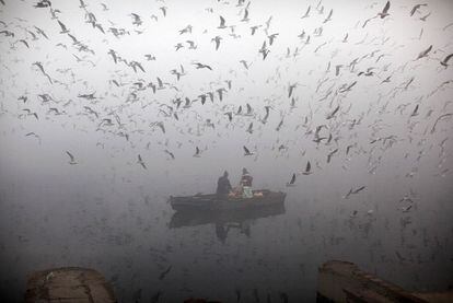 Un par de indios alimentan a las aves desde una barca en el río Yamuna, en medio de la niebla en Nueva Delhi