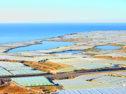Albuferas de Adra (Almería), al borde del mar y estranguladas por los invernaderos de hortalizas, el pasado enero.