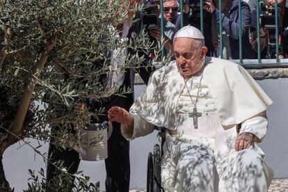 El Papa riega un olivo durante su visita a Cascais, este jueves durante la Jornada Mundial de la Juventud de Lisboa.
