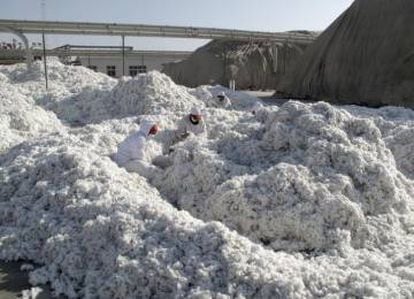 Planta de procesado de algodón en Xinjiang (China).