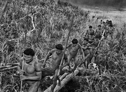 Un grupo de korubos sale de caza en la orilla izquierda del río Ituí. En la mano, portan 'cacetes', palos de madera cilíndricos que usan para golpear.