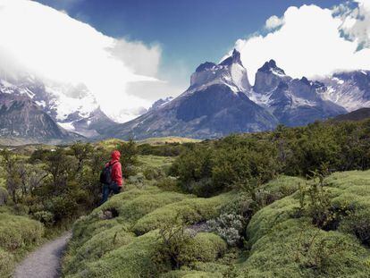 El parque nacional de Torres del Paine, un sobrecogedor territorio de afiladas montañas, valles, glaciares, ríos y lagos al sur de Chile.