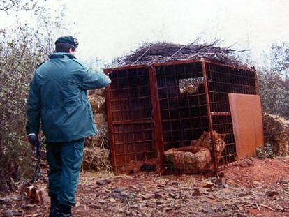 Un guardia civil señala la jaula de un león en la finca de Monterrubio de la Serena (Badajoz).