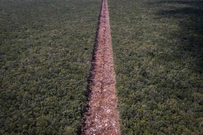 Vista aérea de la deforestación en la selva para construir las vías del tramo 5 del Tren Maya en Quintana Roo, en 2022.