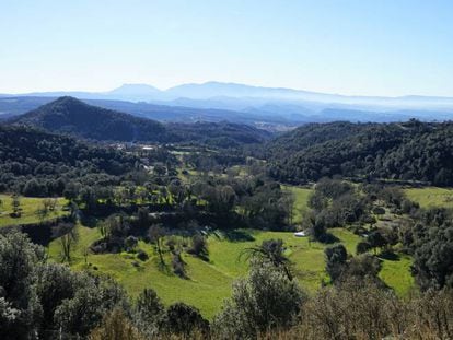 Sierra de Collsacabra.
