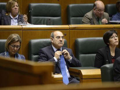 El consejero de Salud, Jon Darp&oacute;n, en una sesi&oacute;n del Parlamento vasco.