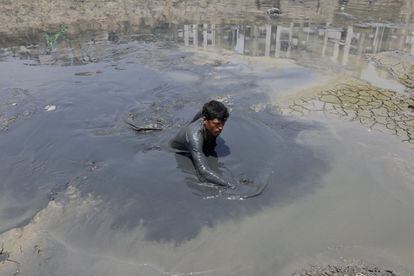 Un trabajador municipal indio busca peces en un lago seco en el Ratanpura en Ahmadabad, Gujarat, India.