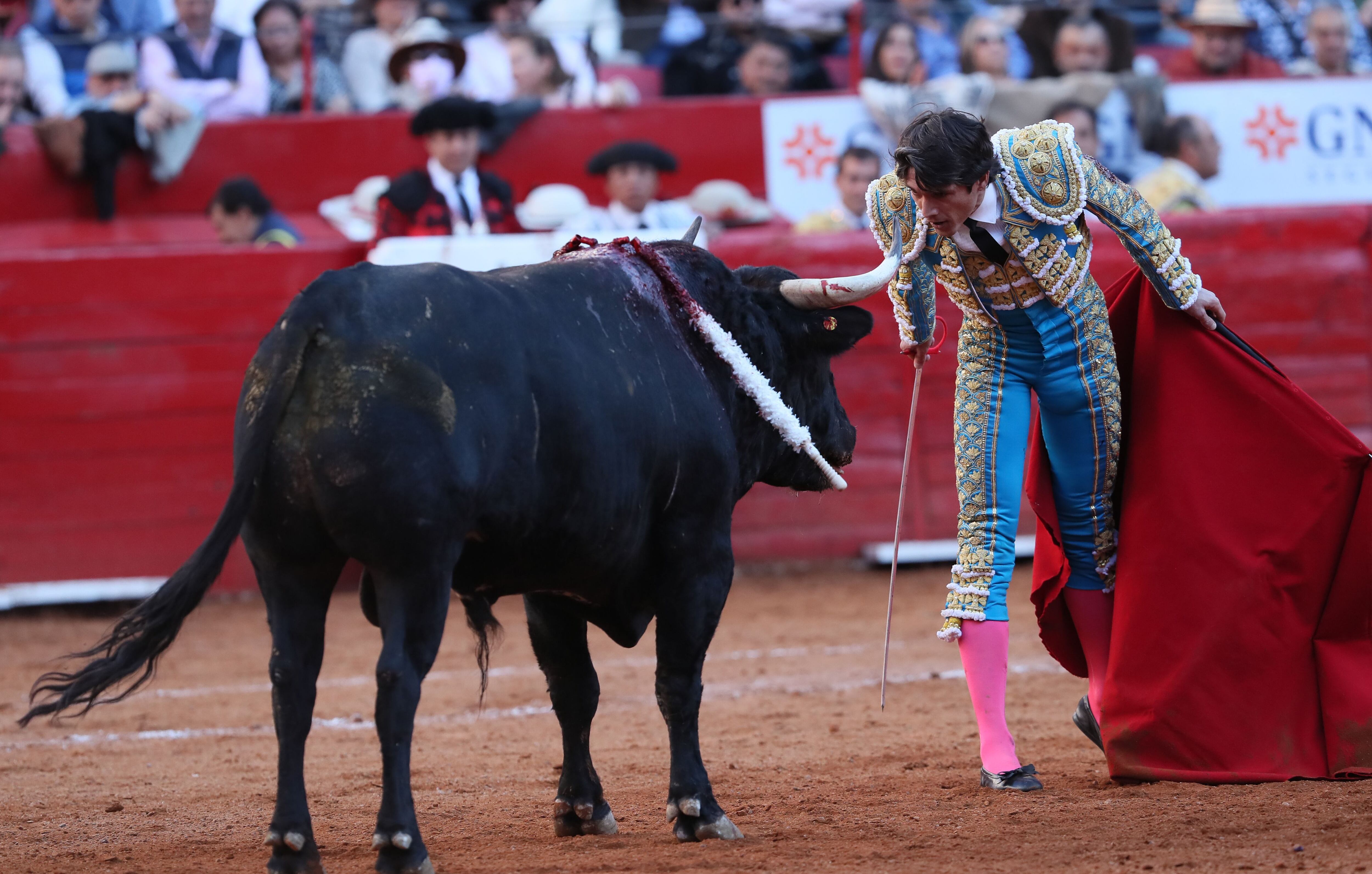 Toros sin trapío e insustancial puerta grande de Castella tras la vuelta de las corridas a la Plaza México