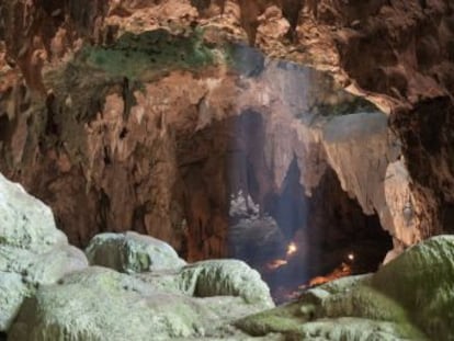 En el árbol evolutivo humano aparece una nueva rama ya extinta, como todas las demás que compartieron el planeta con nosotros