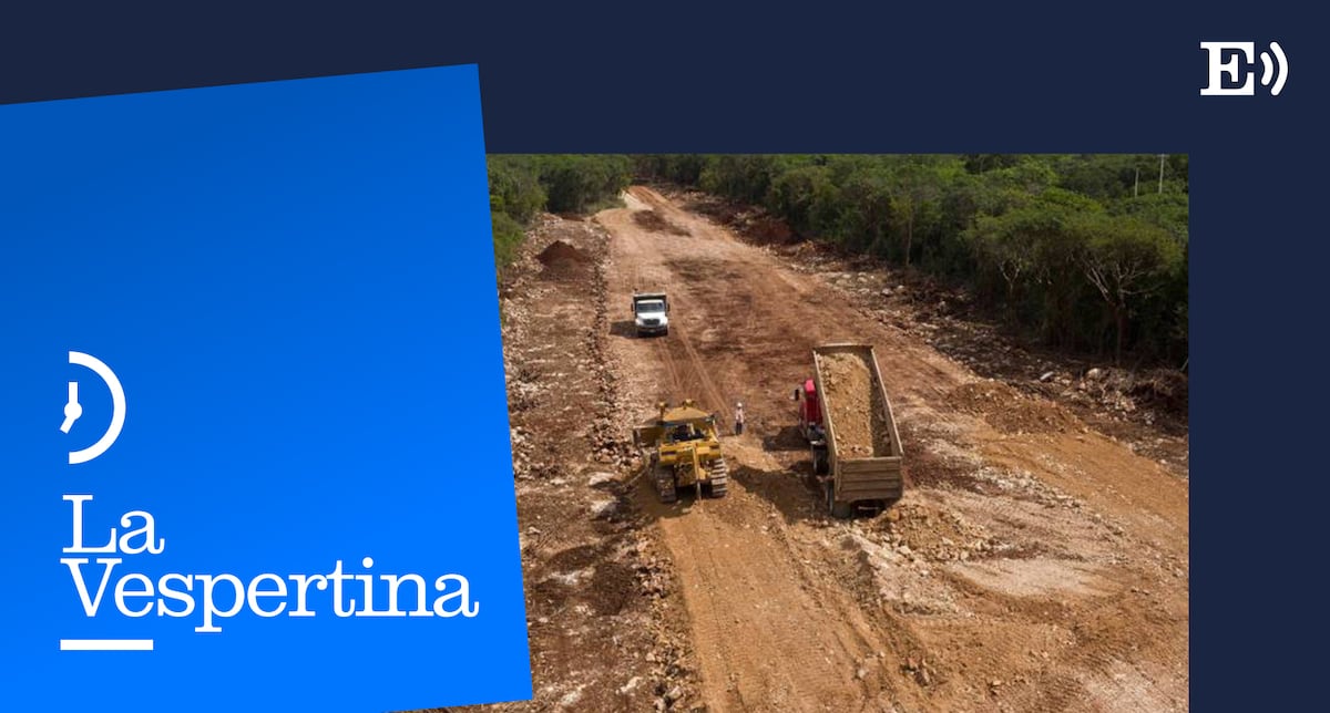 El Sur resiste: la caravana que denuncia la destrucción ambiental que provocan los megaproyectos |  La Tarde |  podcast