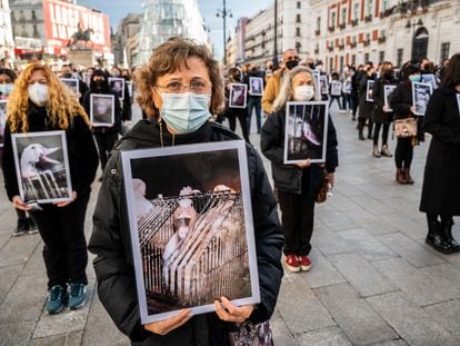 Activistas de Igualdad Animal denuncian en la Puerta del Sol de Madrid el maltrato de los animales en las granjas.