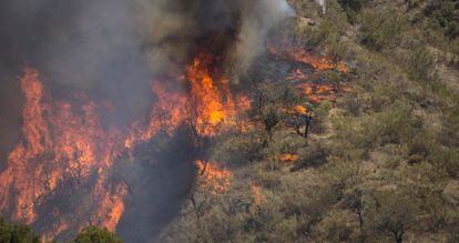 Incendio en los montes de M&aacute;laga.