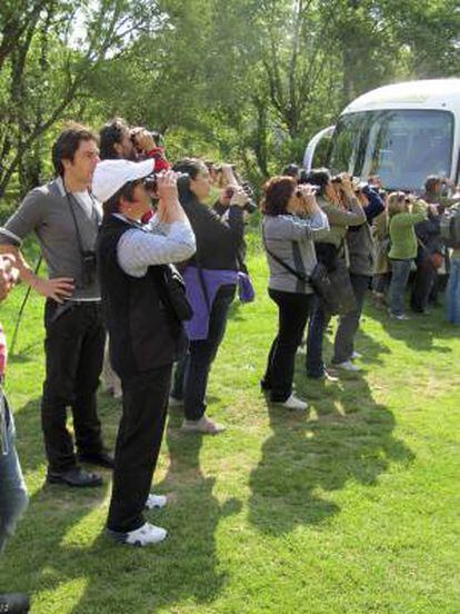 Fotografía facilitada por la Asociación para el Desarrollo Rural Integrado (ADRI) Valladolid Norte de un grupo de turistas ornitológicos observando aves en el Parque Natural de la Montaña Palentina. Castilla y León ha despertado un creciente interés entre operadores turísticos británicos especializados en turismo de naturaleza, por el potencial de esta Comunidad para el avistamiento de aves.