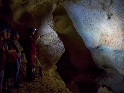 Imagen de pinturas realizadas por neandertales en las Cuevas de la Victoria y del Tesoro del municipio de Rincón de la Victoria (Málaga), donde se han podido documentar marcas que tienen más de 40.000 años de antigüedad.