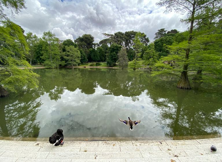 Estanque ubicado en los Jardines de El Buen Retiro.