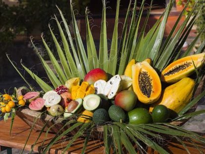 Frutas ex&oacute;ticas de Finca San Ram&oacute;n, en la Costa Tropical de Granada. 